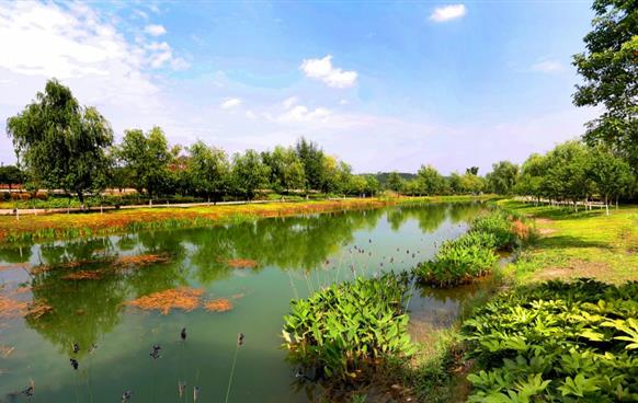 小枧生態濕地公園