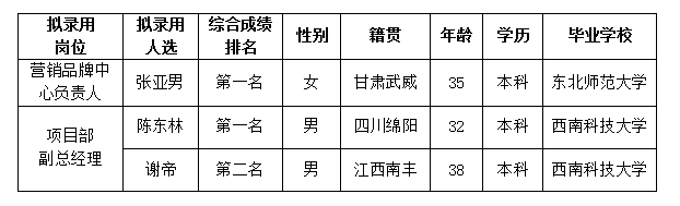 置地內部競聘6.14